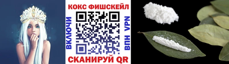 магазин продажи наркотиков  Жиздра  Cocaine Columbia 