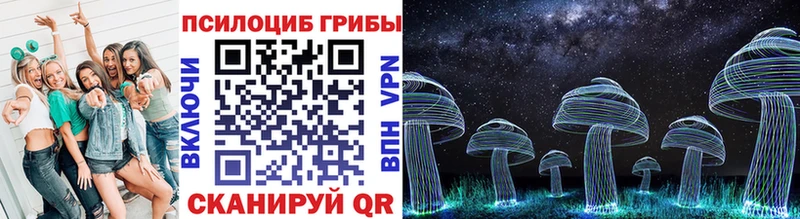 Псилоцибиновые грибы прущие грибы  купить наркотики сайты  Жиздра 
